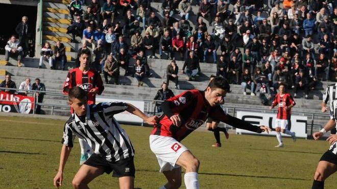 C’è il Camaiore, obbligo di rivincita