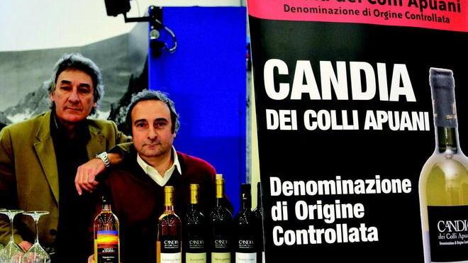 Vento del marmo, un vino per valorizzare la città