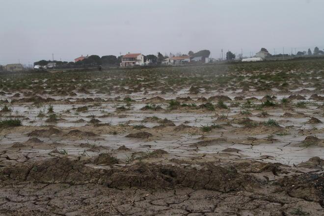 Alluvione, mobilitazione di massa 