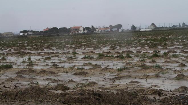 Alluvione, mobilitazione di massa