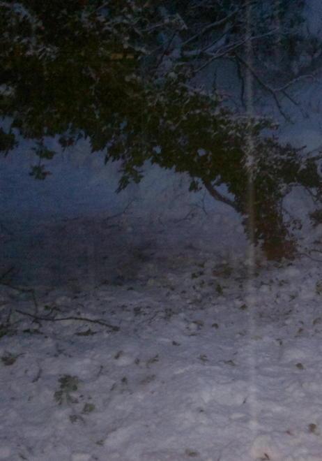 È tornata a casa la bimba travolta da un albero 
