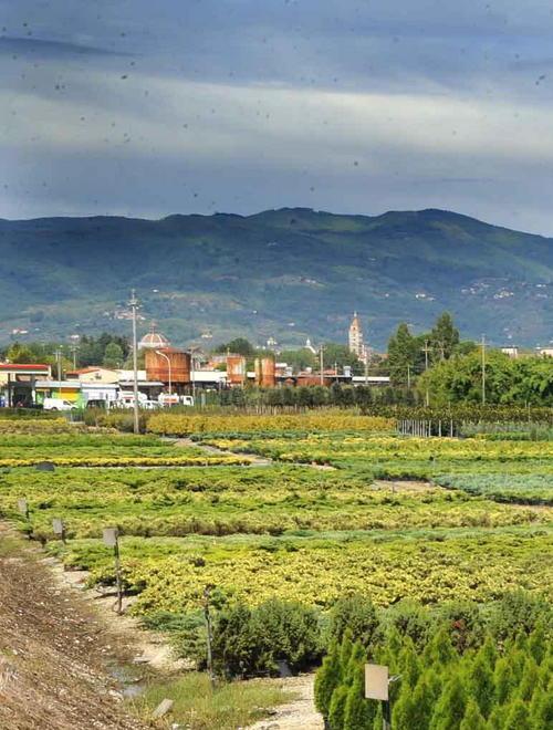 Quasi 900 domande per i fondi agricoli 