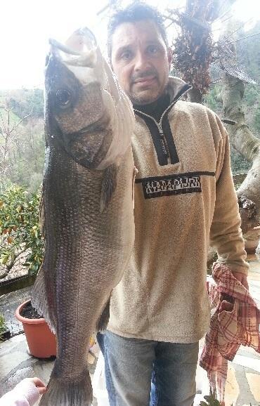Pesca record con la bilancia Preso branzino da 7,3 chili