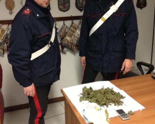 Trovato con tre etti di marijuana in casa: arrestato ventinovenne di Massarosa 