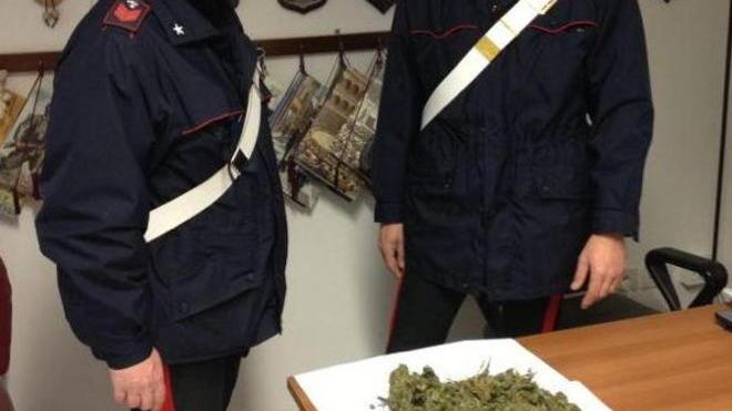 Trovato con tre etti di marijuana in casa: arrestato ventinovenne di Massarosa