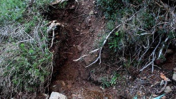 Vandali sulla via dei Rosmarini danni alla rete sentieristica