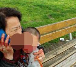 Pitbull aggredisce nonna e due bambini ai giardini 