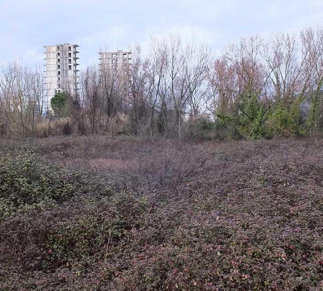 Sarà aggiunto verde pubblico a Cisanello 