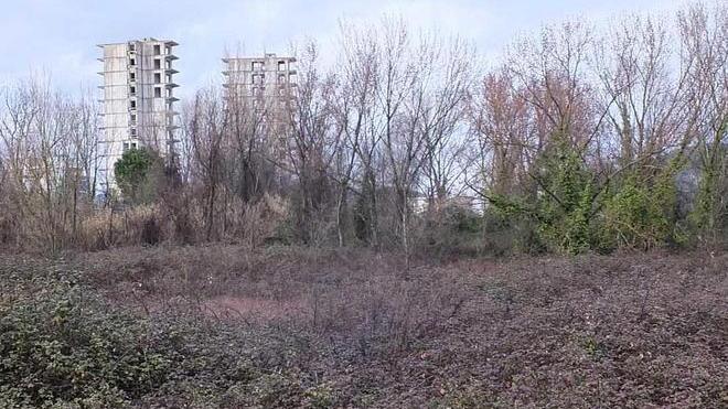 Sarà aggiunto verde pubblico a Cisanello