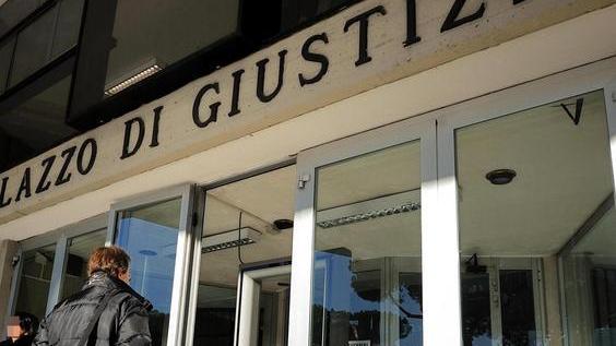 Furti di pigne Spunta il mandante della raccolta