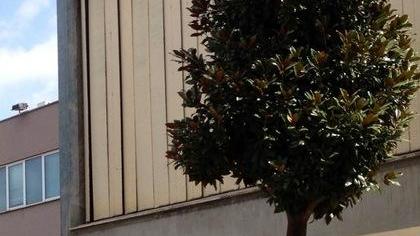 Le quote delle partecipate finiscono all’asta