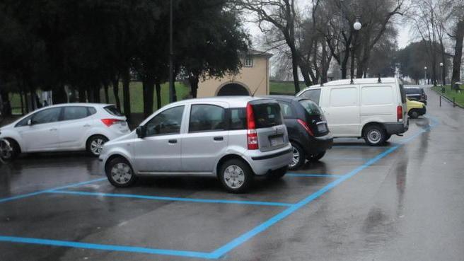 Confcommercio chiede stalli blu nella zona ovest