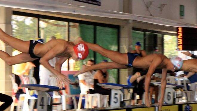 Nuoto Livorno, Esordienti a raffica