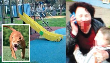 Operati la donna e il nipotino aggrediti dal pitbull ai giardini 