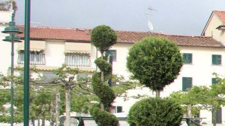 Servizio taxi unificato per Forte, Seravezza e Pietrasanta
