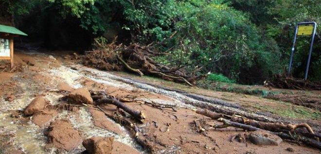 «Parco archeologico chiuso, un allarme preoccupante»