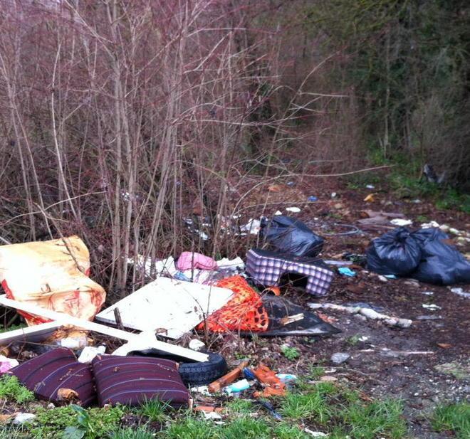 Rifiuti abbandonati nelle strade sterrate accanto all’A11