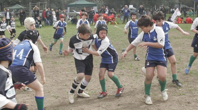 Trofeo Denti: Torino Carpi e Amatori al loro debutto assoluto