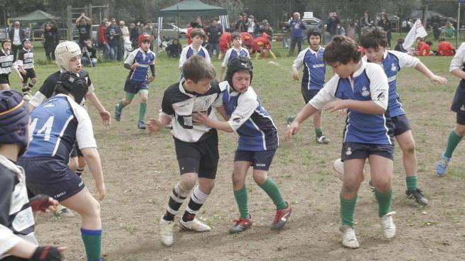 Trofeo Denti: Torino Carpi e Amatori al loro debutto assoluto