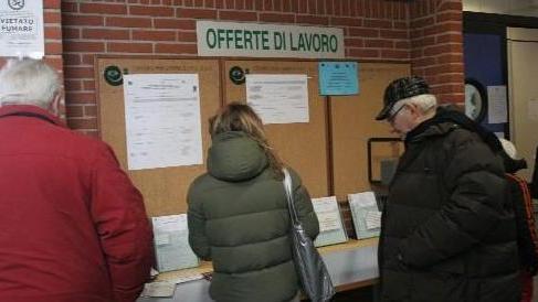 In 11mila senza lavoro, come un esercito