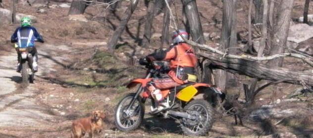 Gara di moto enduro sui sentieri del Parco: proteste 