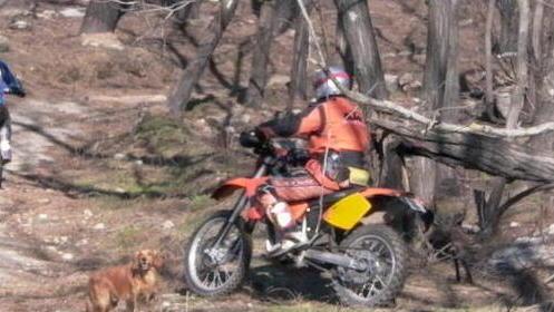 Gara di moto enduro sui sentieri del Parco: proteste