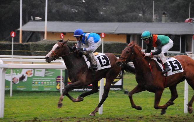Sunny Marty concede il bis e vince il Premio Alap 