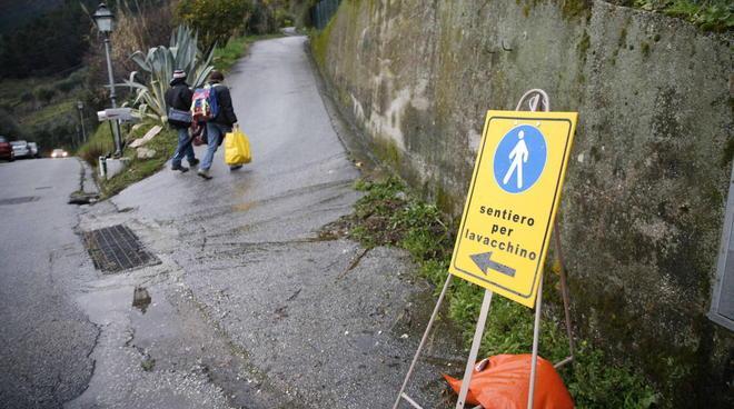  Pietrasanta, sos a tutti i volontari 