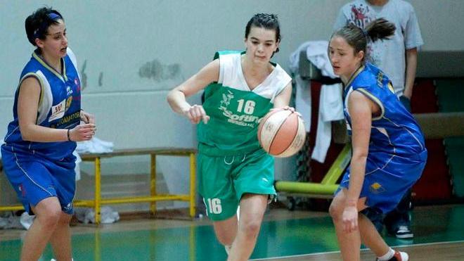Basket: Solidago Gmv in cerca di punti e di gloria