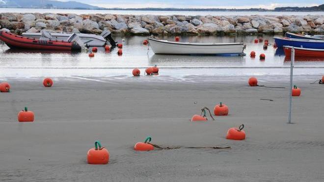 Le boe in mezzo...alla spiaggia