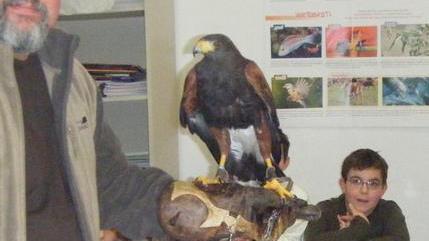 Dal 2004 incontri per conoscere gli animali