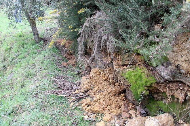 Ancora frane a Camaiore, evacuata una casa. In tilt quattro aziende 