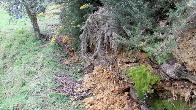 Ancora frane a Camaiore, evacuata una casa. In tilt quattro aziende