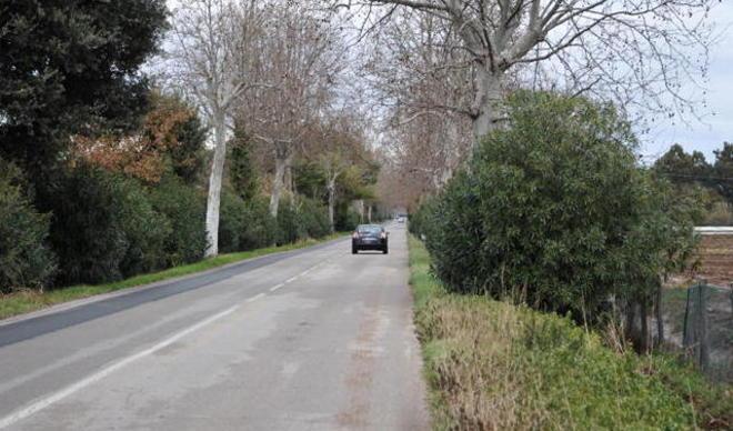 Ragazzina fugge dall’auto della madre: trovata dopo 12 ore 