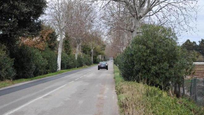 Ragazzina fugge dall’auto della madre: trovata dopo 12 ore