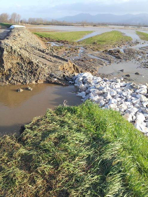 Allagamenti a Biscottino, chiusa la strada dell'Arnaccio 