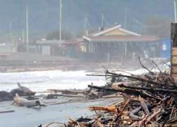 Mareggiata, spiaggia invasa dal legname 