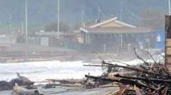 Mareggiata, spiaggia invasa dal legname