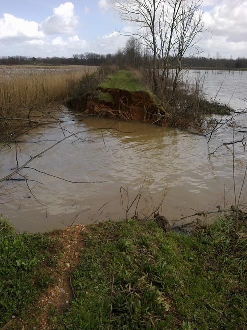 Previste nuove piogge: in azione nel Padule sette idrovore 