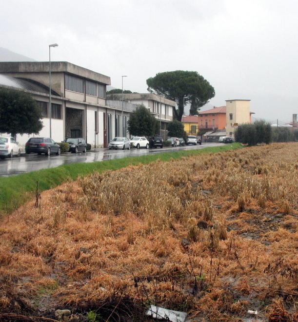 «Prato scelga un altro terreno» 