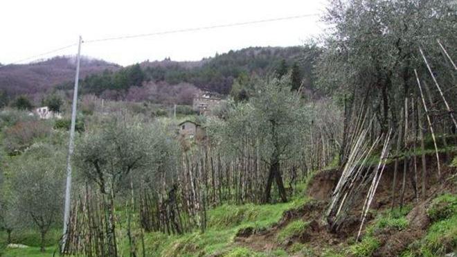 Frane a raffica: «Manutenzione assente»