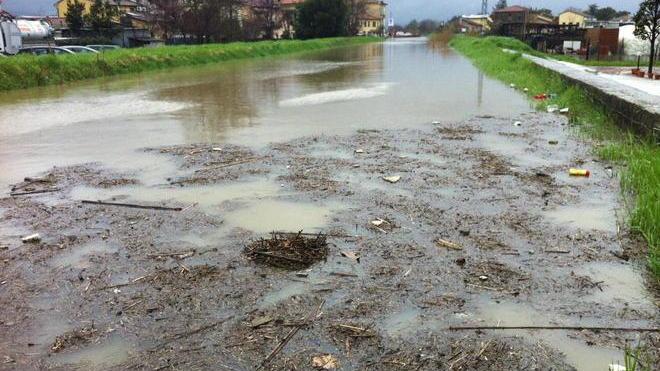 Vivai, si contano i danni Guai grossi nella vasetteria