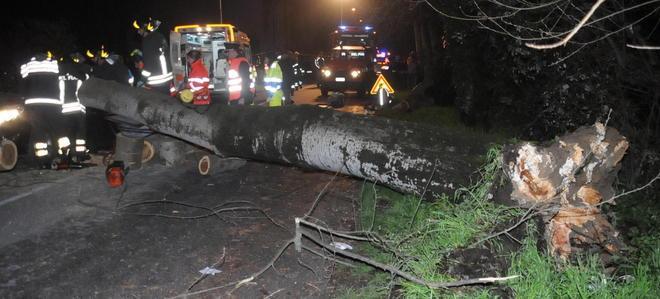Giovane schiacciata da un albero che si abbatte sulla sua macchina 