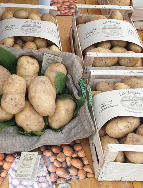 La Val di Bisenzio scommette sulla patata dop 
