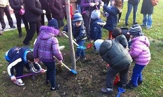 Nelle scuole si tornano a piantare alberi 