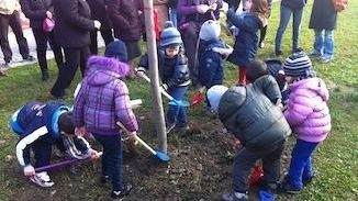 Nelle scuole si tornano a piantare alberi