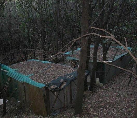 Un canile abbandonato dentro l’area protetta 