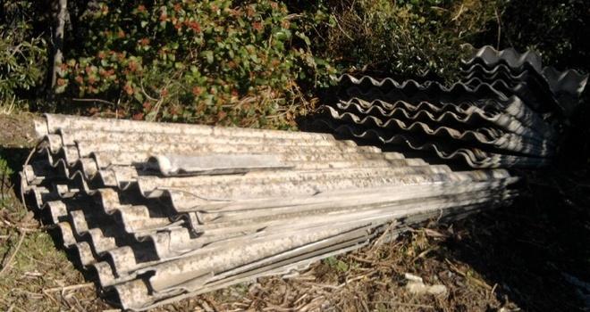 Decine di lastre in eternit abbandonate nel bosco 