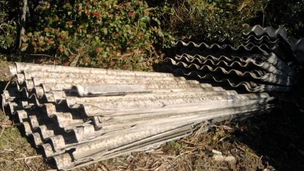 Decine di lastre in eternit abbandonate nel bosco