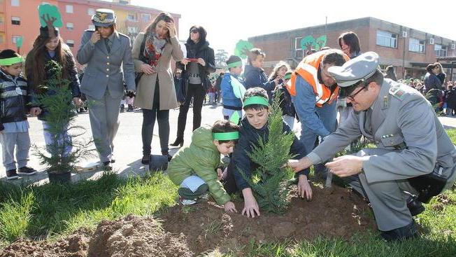 Gli alunni piantano cipressi davanti alla scuola
